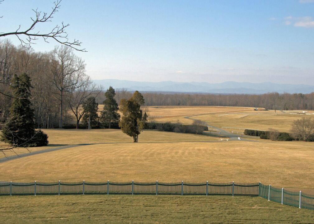 #31. Virginia